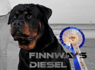 Finnways Diesel