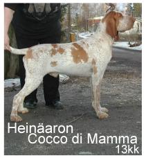 Heinäaron Cocco di Mamma