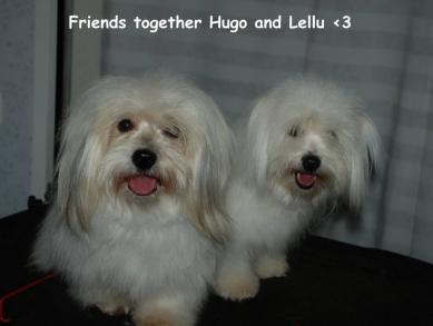 Hugo ja Lellu