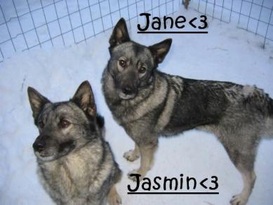 Jasmin & Jane