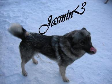 Jasmin<3