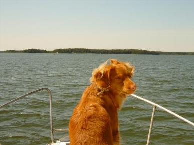 Lulu veneilemässä