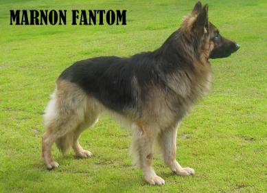 Marnon Fantom Vallu