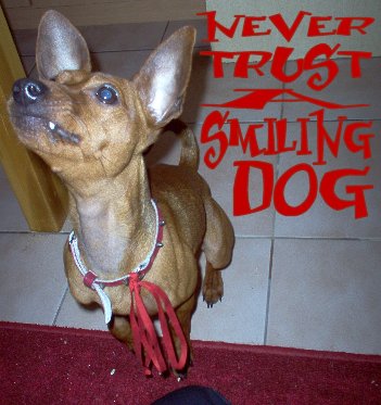 Never trust a smiling dog...
