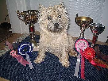 Peppi voitti kaikki joensuun näyttelyssa 2005
