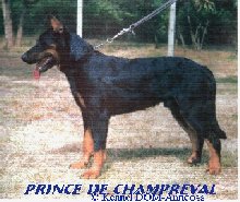 Prince de Champreval