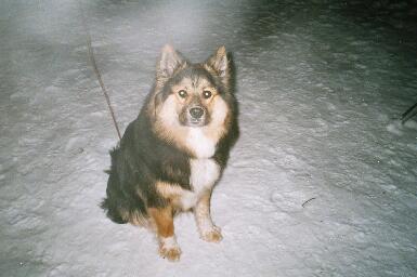 Rasmus talvella 2004