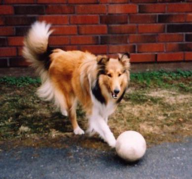 Salenan Karpalo jalkapalloa pelailemassa