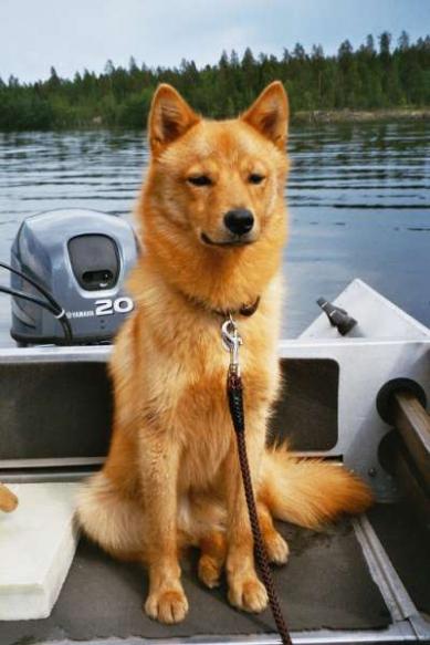 Taro istuu veneessä