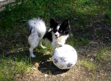 Unna pelaa jalkapalloa!