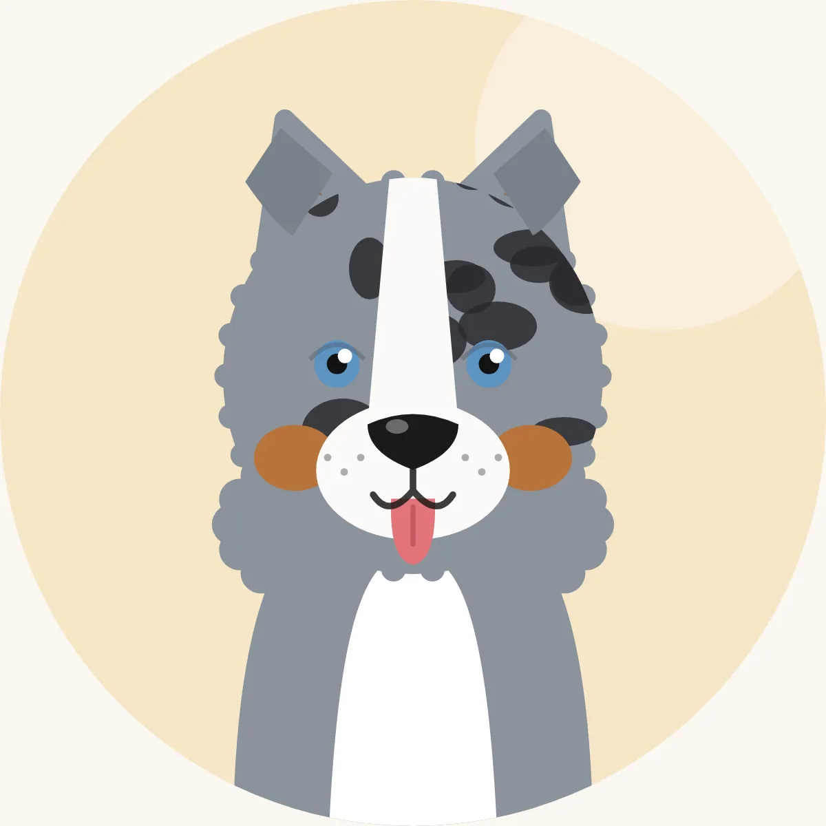 Australianpaimenkoira – piirroskuva rodun tyypillisestä ulkonäöstä (blue merle, red merle, musta tai punainen)