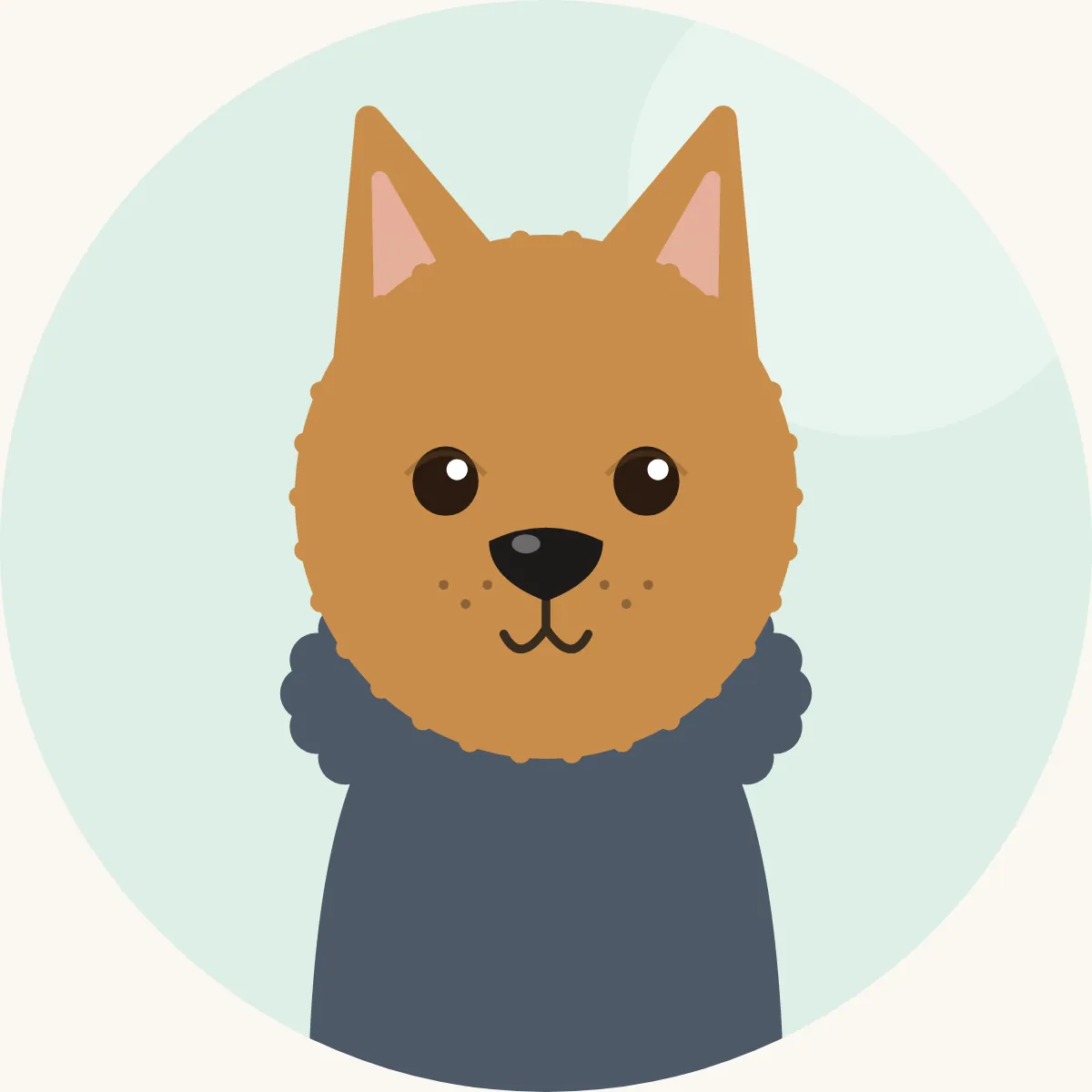 Australiansilkkiterrieri – piirroskuva rodun tyypillisestä ulkonäöstä (sininen-ruskea)
