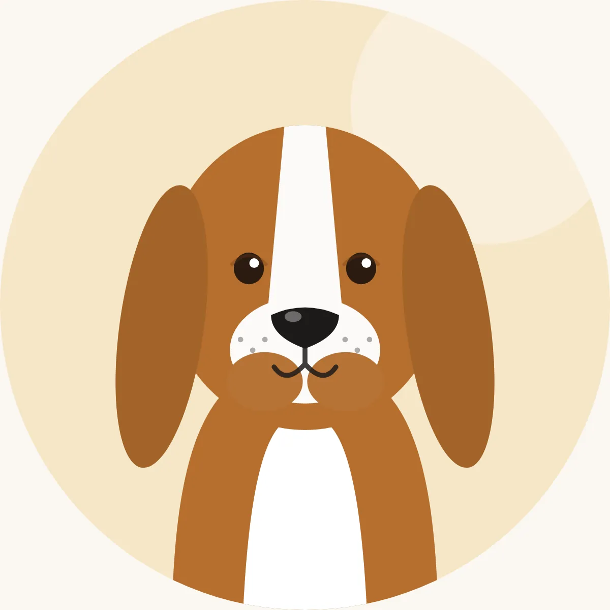 Basset hound – piirroskuva rodun tyypillisestä ulkonäöstä (kolmivärinen tai sitruunanvalkoinen)
