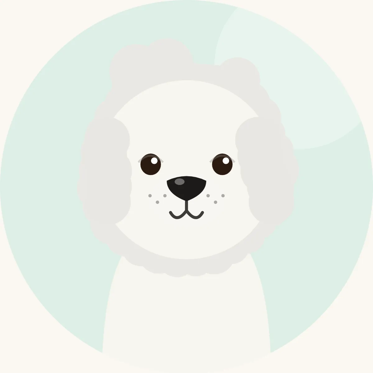 Bichon frisé – piirroskuva rodun tyypillisestä ulkonäöstä (valkoinen)