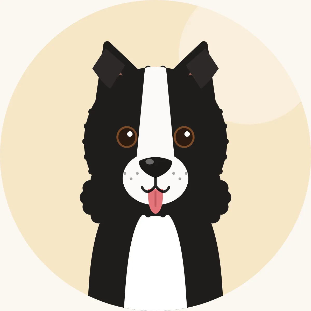 Bordercollie – piirroskuva rodun tyypillisestä ulkonäöstä (monia värejä, yleisimmin musta-valkoinen)
