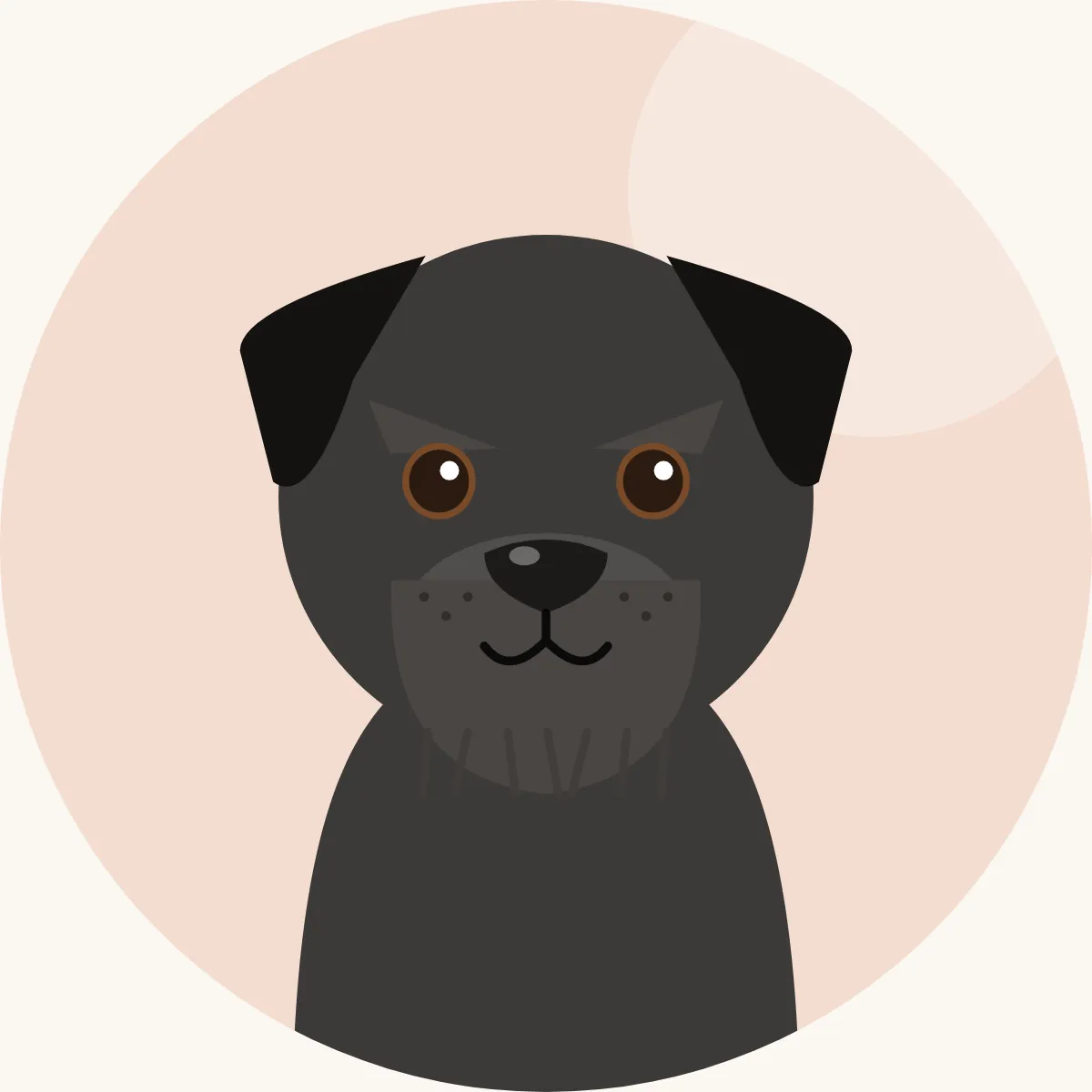 Bouvier des Flandres – piirroskuva rodun tyypillisestä ulkonäöstä (harmaa, tiikerijuovainen tai musta)