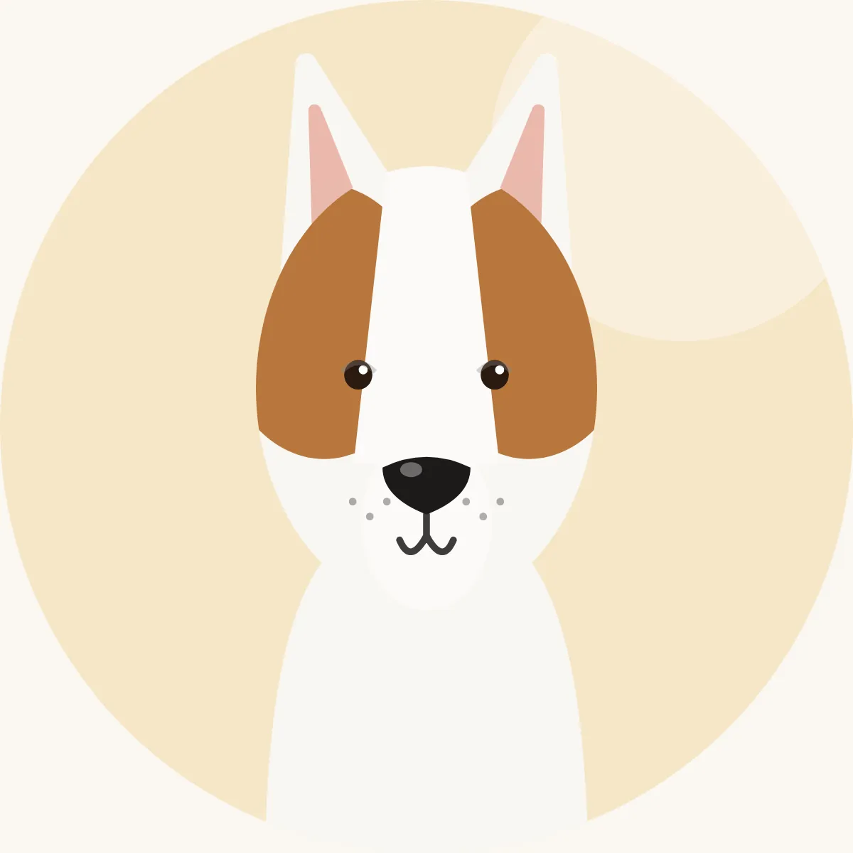 Bullterrieri – piirroskuva rodun tyypillisestä ulkonäöstä (valkoinen tai värillinen)