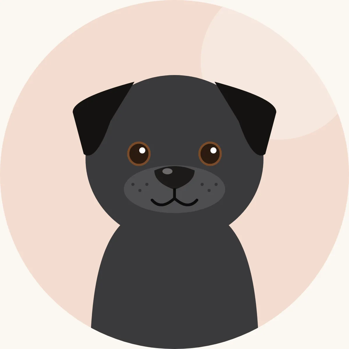Cane corso – piirroskuva rodun tyypillisestä ulkonäöstä (musta, harmaa, kellanruskea tai tiikerijuovainen)
