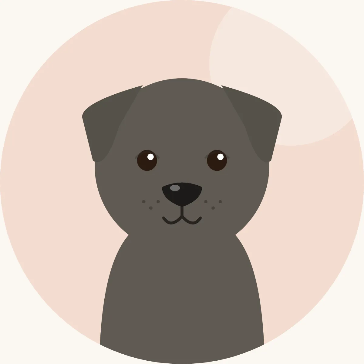 Cão de Castro Laboreiro – piirroskuva rodun tyypillisestä ulkonäöstä (susinharmaa)