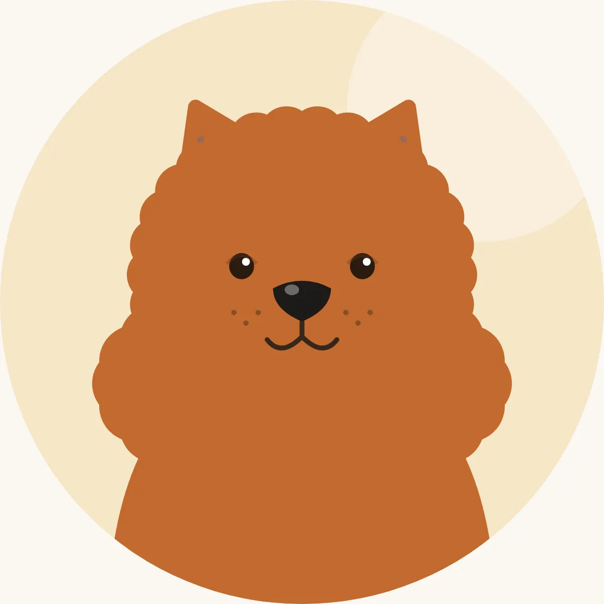 Chow chow – piirroskuva rodun tyypillisestä ulkonäöstä (punainen, musta, sininen, kerma tai kanelinvärinen)