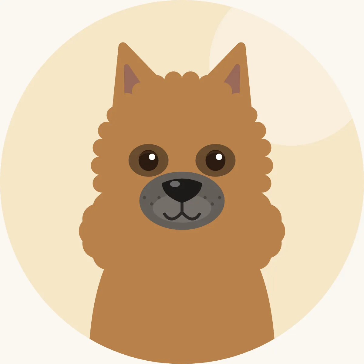 Eurasier – piirroskuva rodun tyypillisestä ulkonäöstä (punainen, susinharmaa, musta tai kermanvaalea)