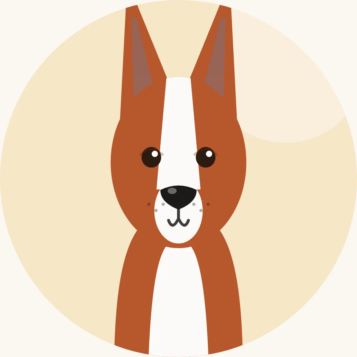 Kanarianpodenco – piirroskuva rodun tyypillisestä ulkonäöstä (punainen ja valkoinen)