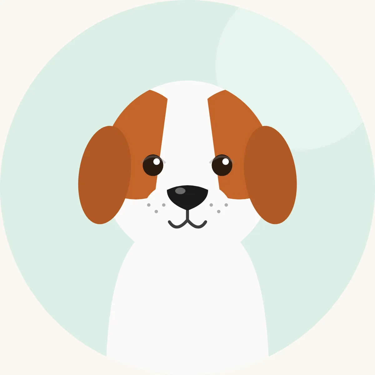 Kooikerhondje – piirroskuva rodun tyypillisestä ulkonäöstä (oranssinpunainen ja valkoinen, mustat korvanpäät)