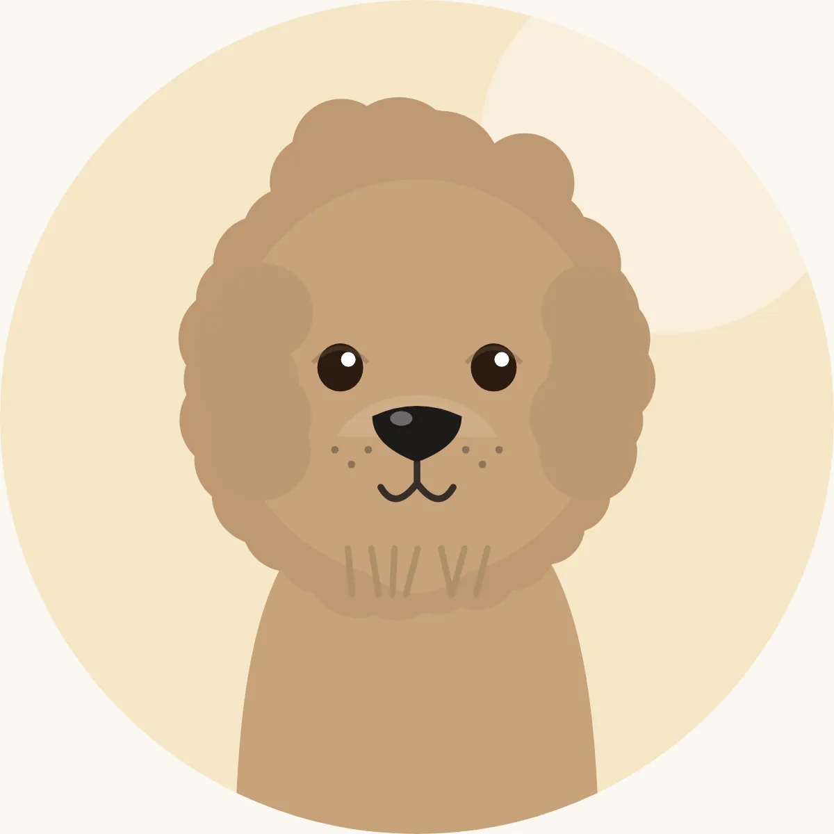 Lagotto romagnolo – piirroskuva rodun tyypillisestä ulkonäöstä (valkoinen, ruskea, oranssi tai kirjava)