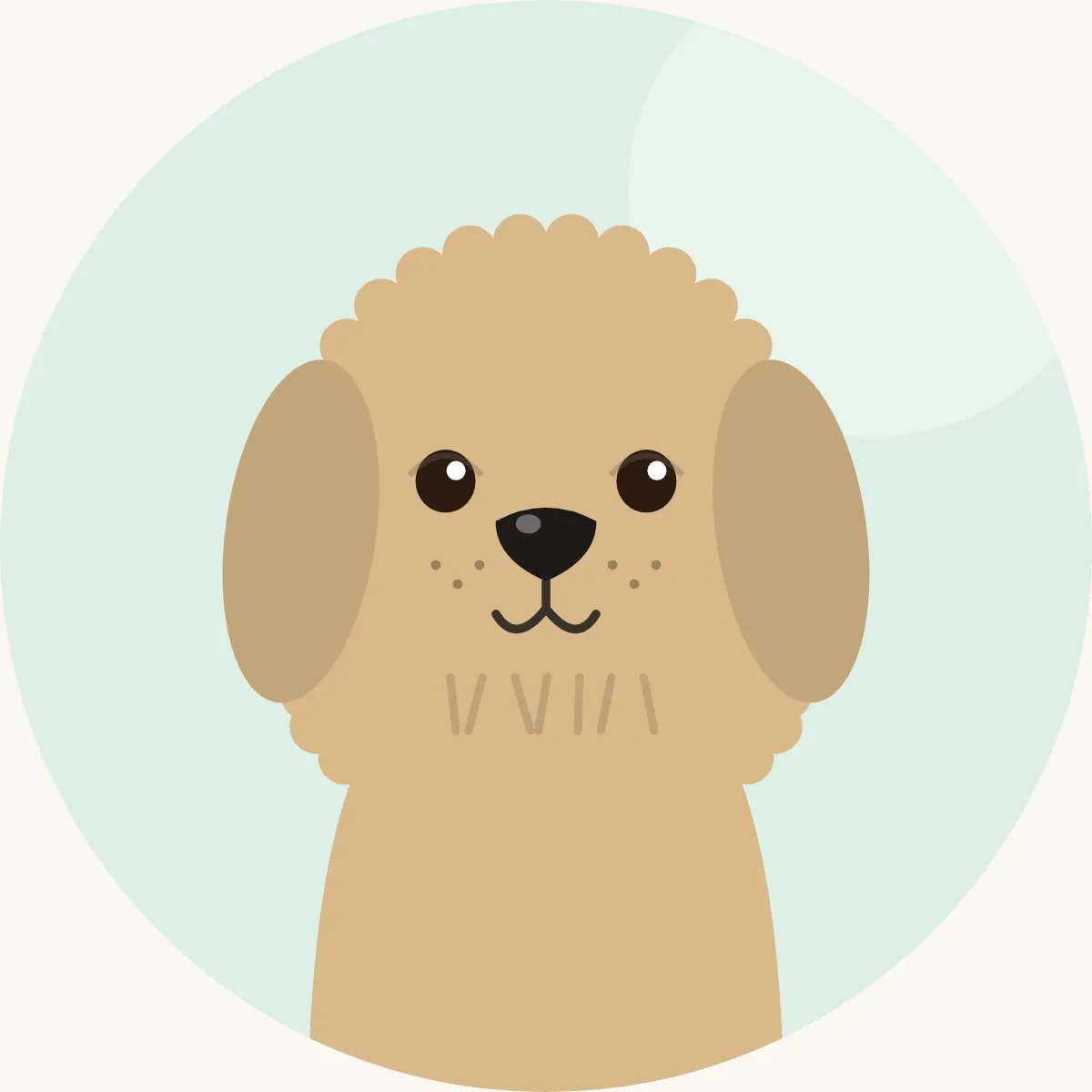 Lhasa apso – piirroskuva rodun tyypillisestä ulkonäöstä (kaikki värit)