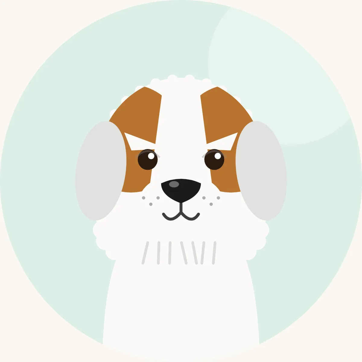 Petit basset griffon vendéen – piirroskuva rodun tyypillisestä ulkonäöstä (valkoinen värillisin laikuin)