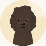 Barbet