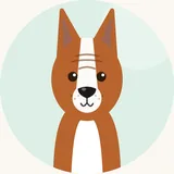 Basenji