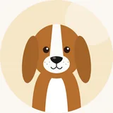 Basset artésien normand