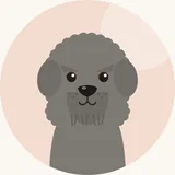 Bergamasco