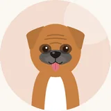 Bokseri