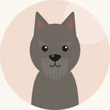 Bouvier des Ardennes