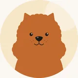 Chow chow