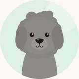 Dandie dinmontinterrieri