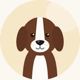 Englanninspringerspanieli