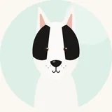 Kääpiöbullterrieri