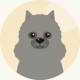 Keeshond