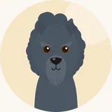 Kerrynsinisenterrieri