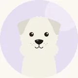 Kuvasz