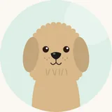 Lhasa apso