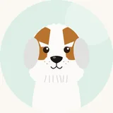 Petit basset griffon vendéen