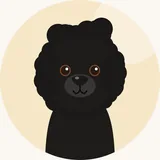 Puli