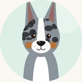 Welsh corgi cardigan