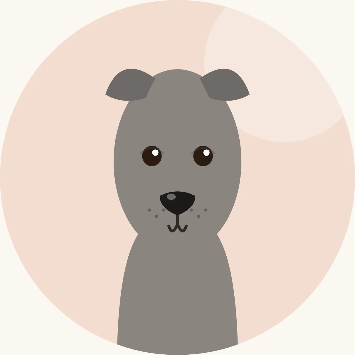 Puolanvinttikoira – piirroskuva rodun tyypillisestä ulkonäöstä (kaikki värit)