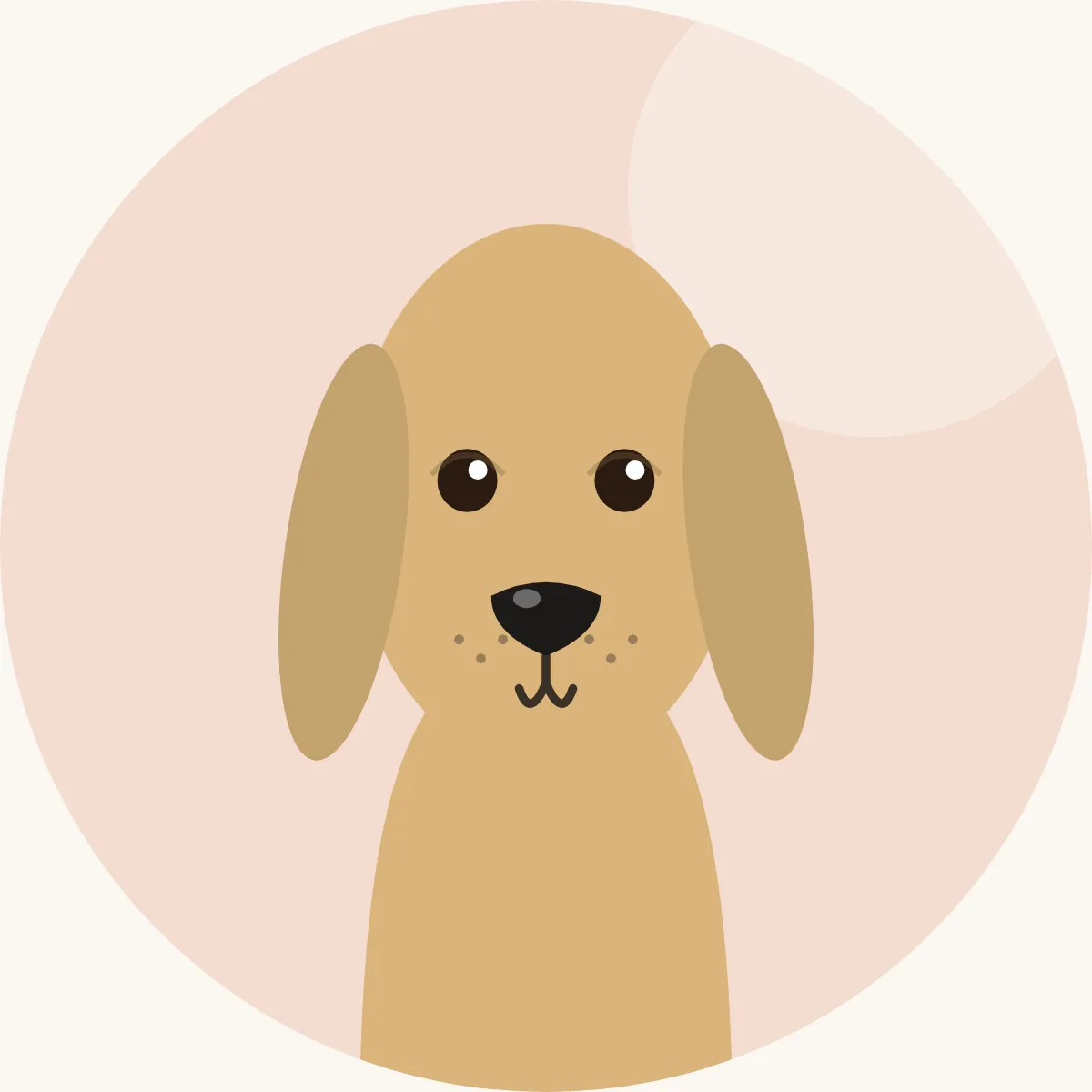 Saluki – piirroskuva rodun tyypillisestä ulkonäöstä (kaikki värit)