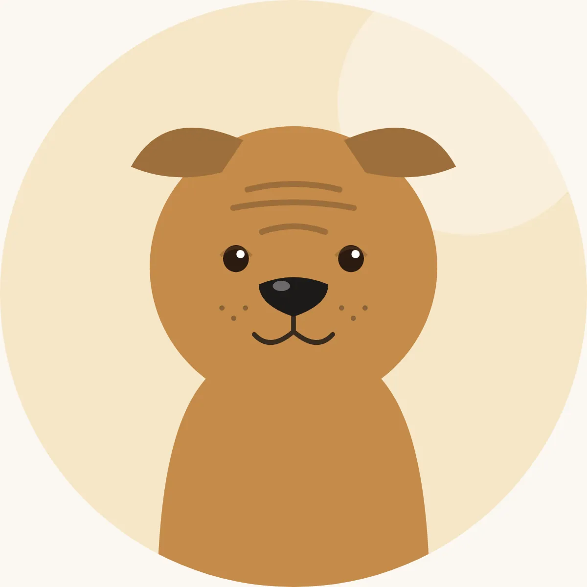 Shar pei – piirroskuva rodun tyypillisestä ulkonäöstä (kaikki värit yksivärisinä)